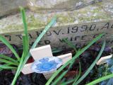 image of grave number 281471